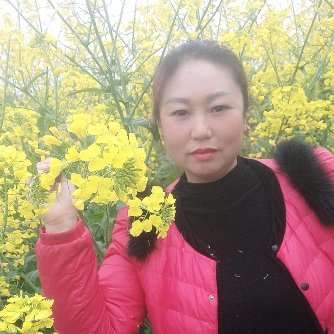 刘姐姐