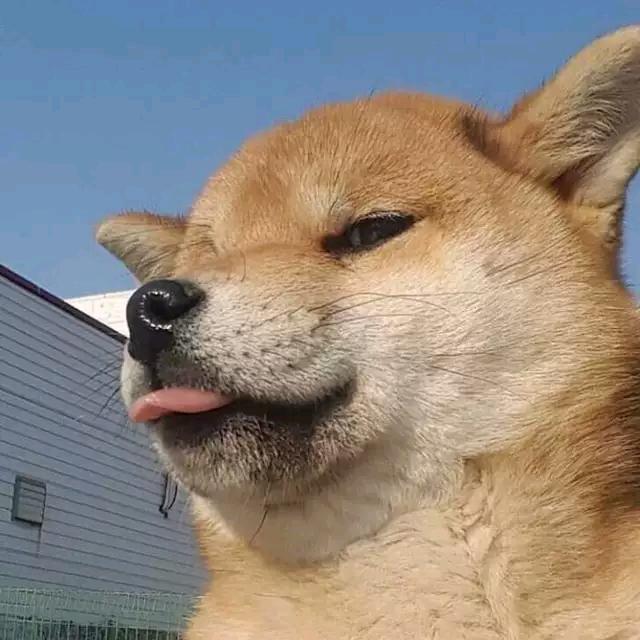 哆来A梦