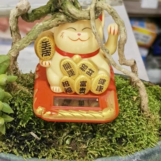 留语