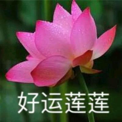 辰星