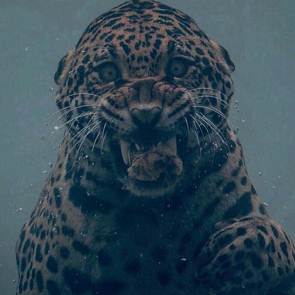 终结老人荒天帝