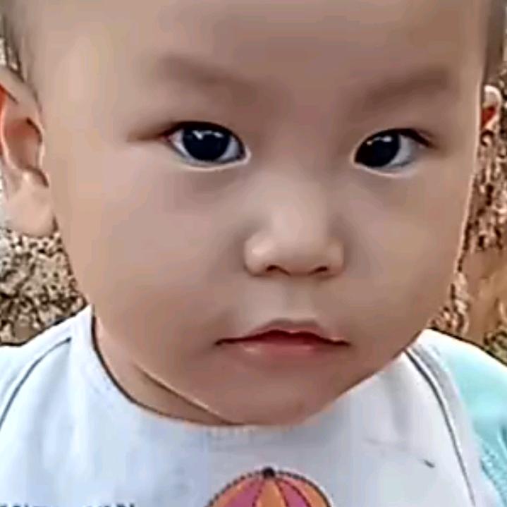 肖杨在家
