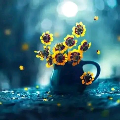 漫天烟花如雨