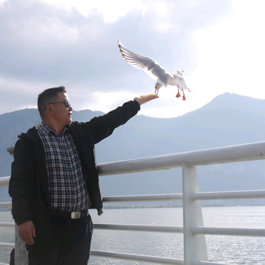 天行健.彩云之南