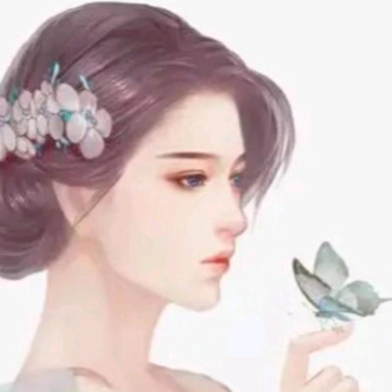 舟舟好物