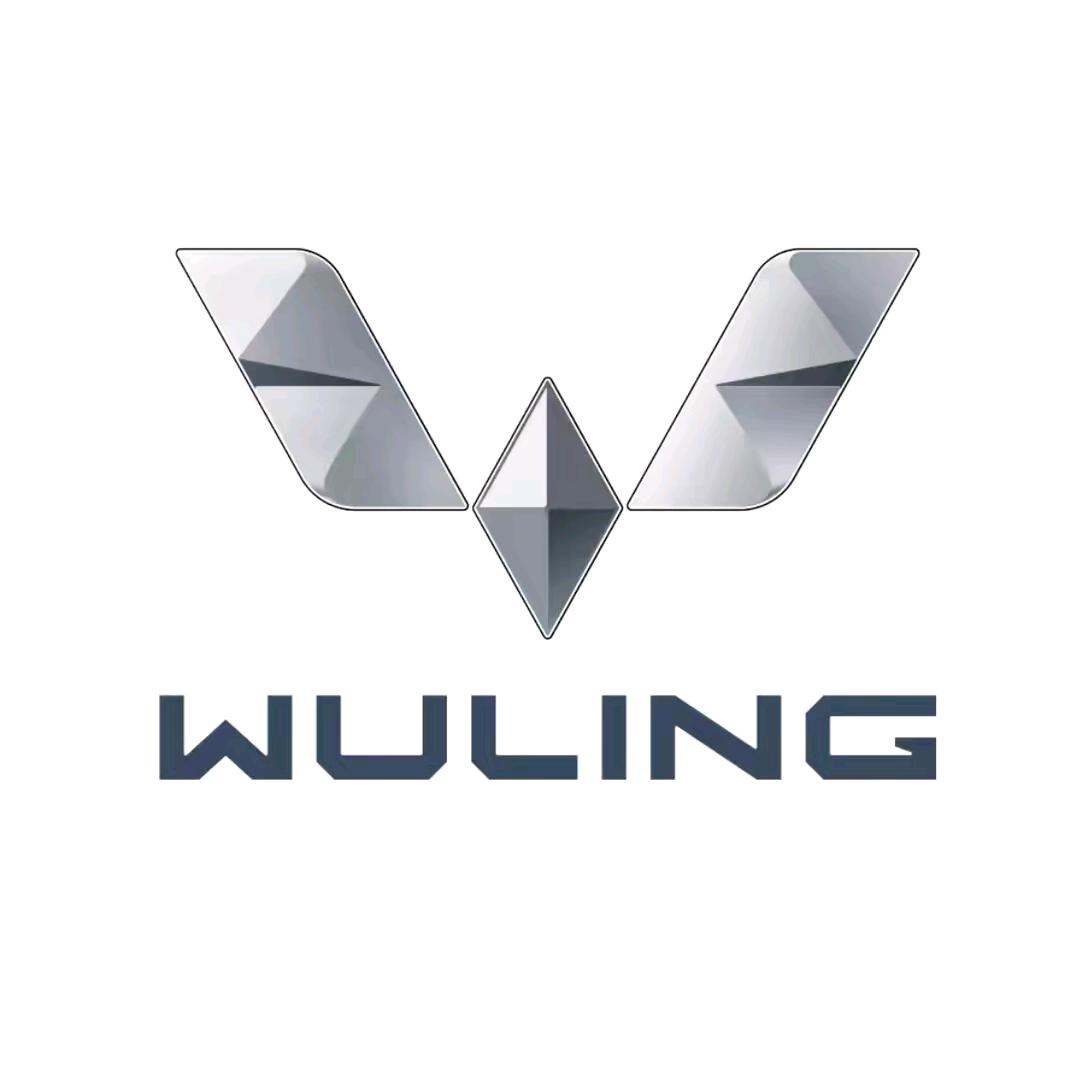 五菱汽车河南乘用车总店