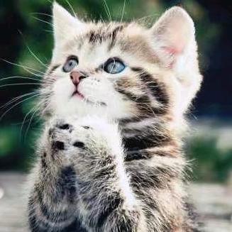 ꧁彼岸花꧂ 🧸ྀི