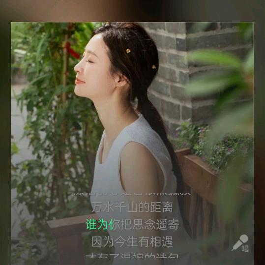 凤凰涅磐
