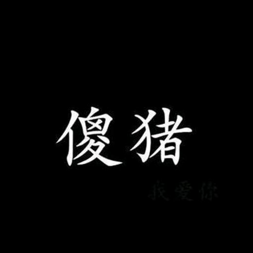 小傻猪