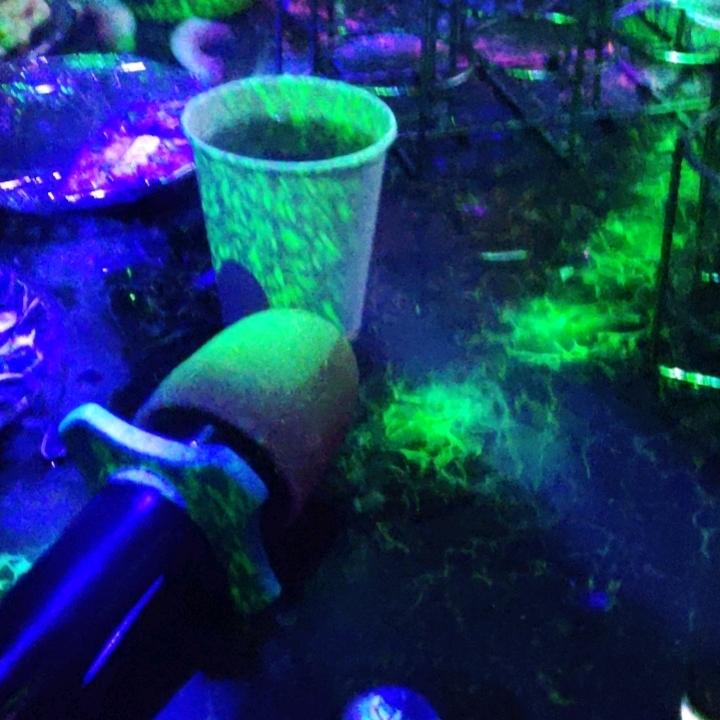 我觏之子，我心写兮。