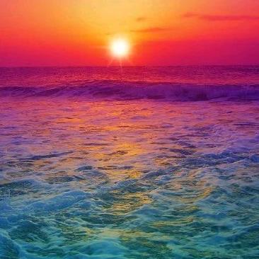 海阔天空任我飞翔