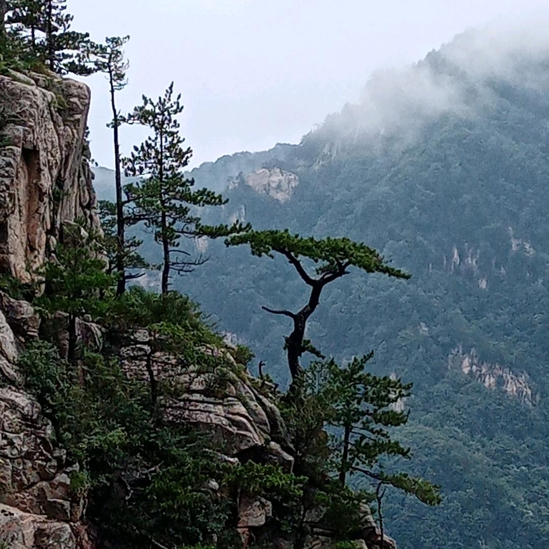 美丽人生