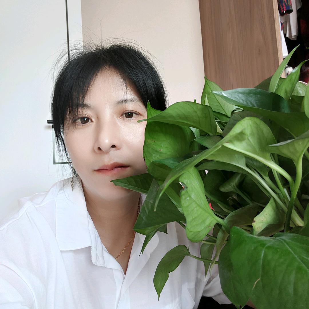 会飞的蝴蝶@