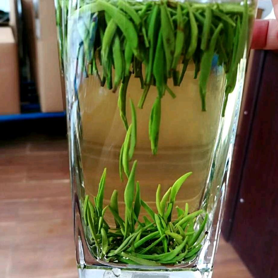 固安县云端茶舍