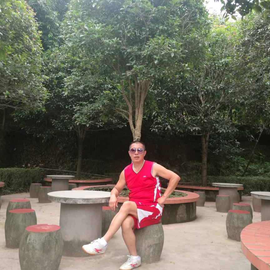 刘记大盆鸡