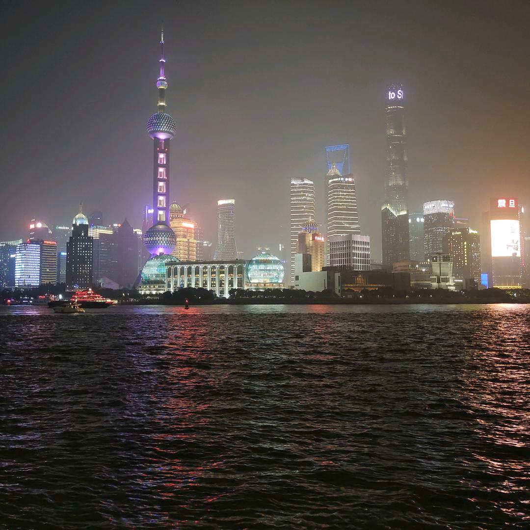 沙伦玫瑰