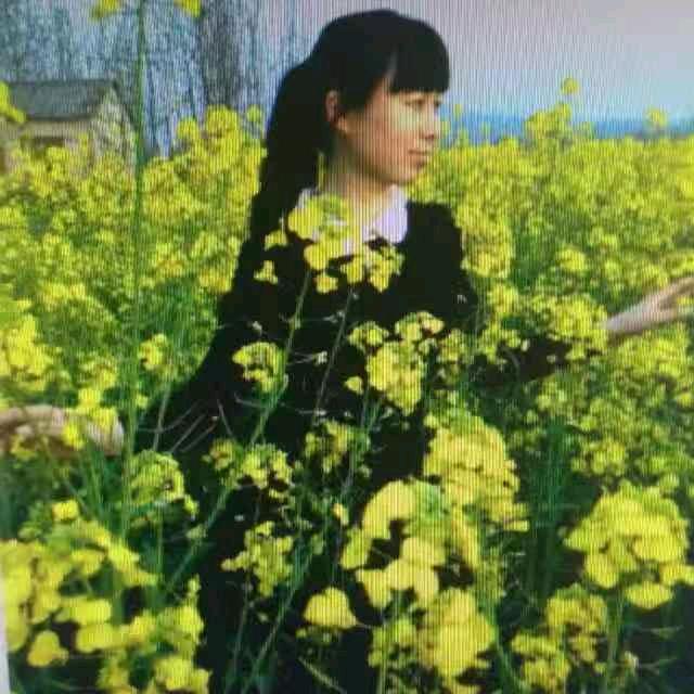 夫子河电信