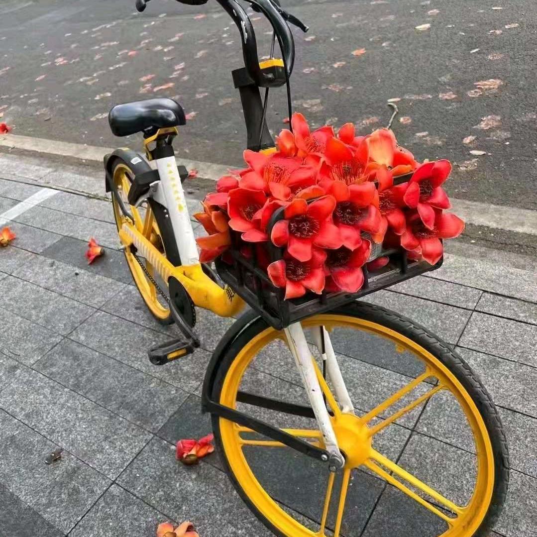 河河探世界