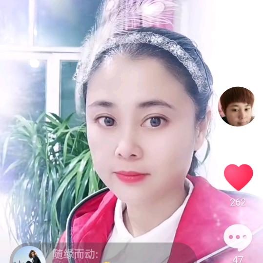 蜂霸天下
