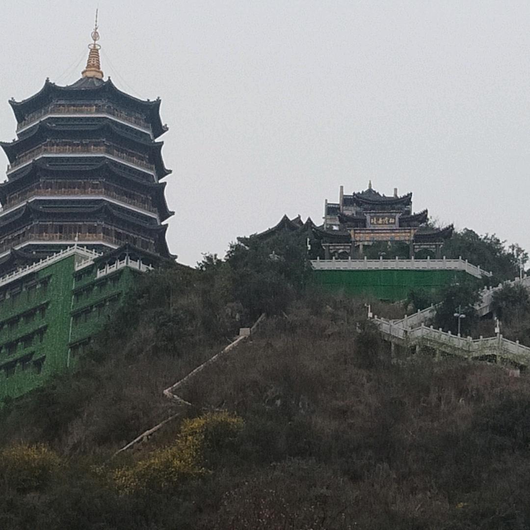 雨天的太阳！