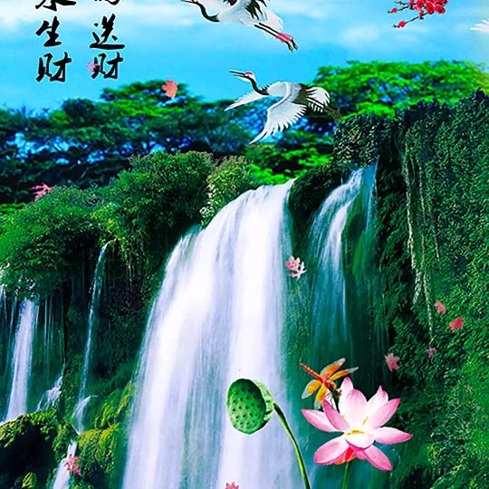 恭喜发财。水果哥