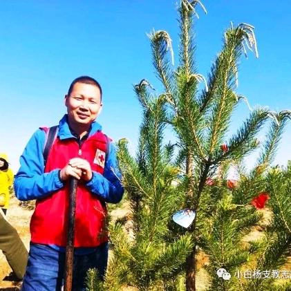 小白杨支教支农