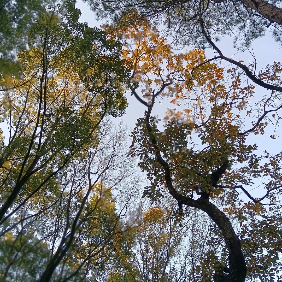 九月