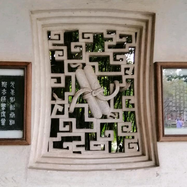 狸猫
