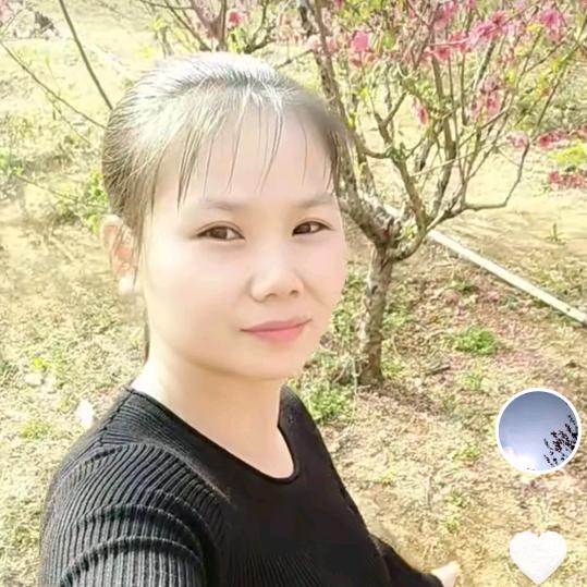 美丽
