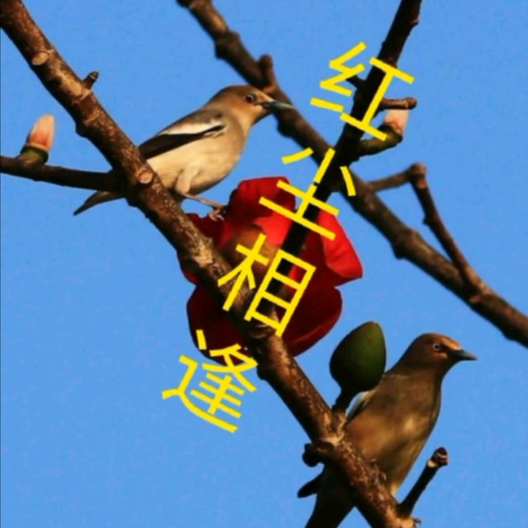 红尘相逢