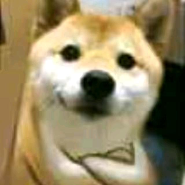 陌笙語头像