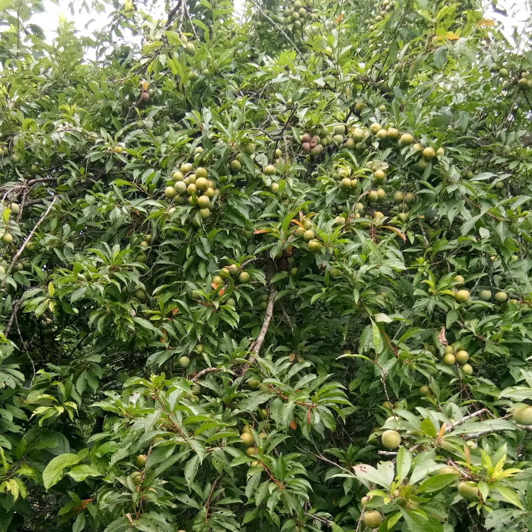 #,