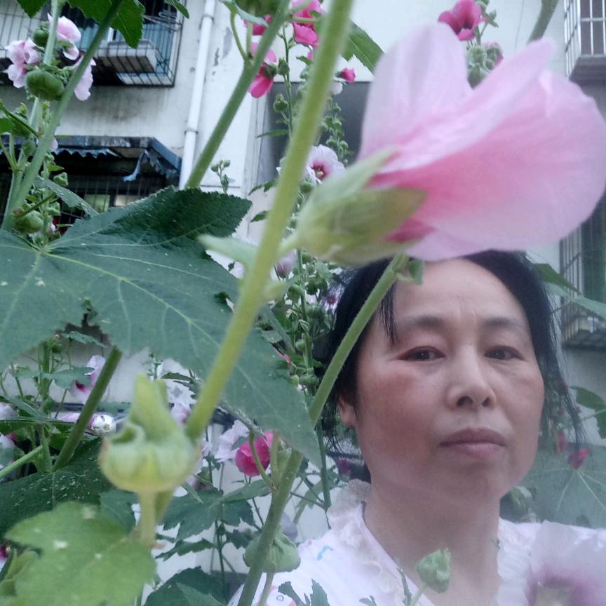 用户勇军妈妈
