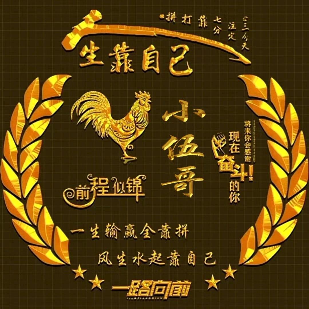 小伍哥