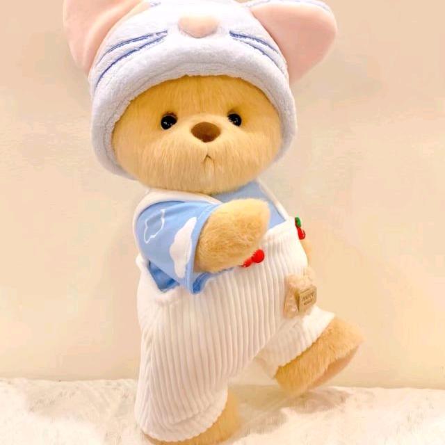 小猫伸懒腰