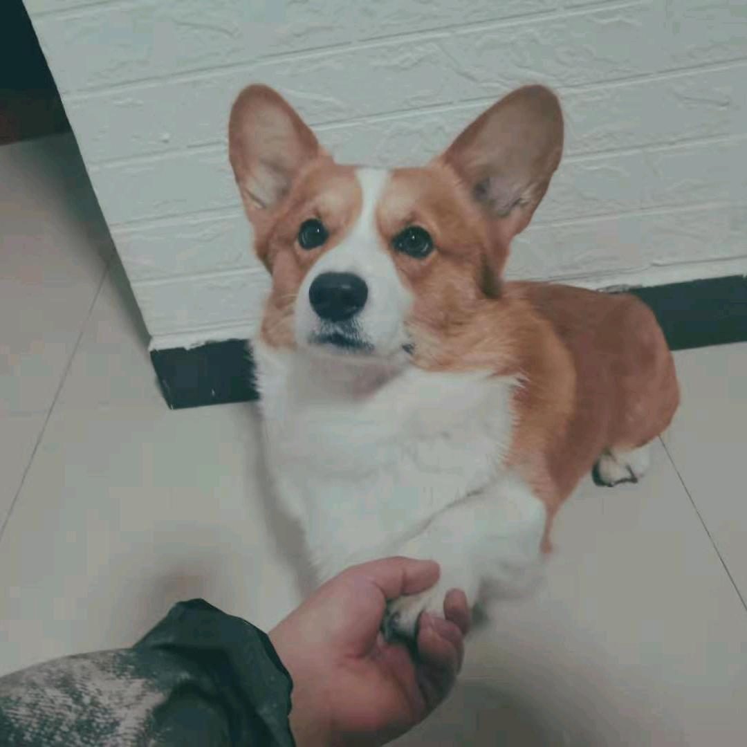 闹闹别