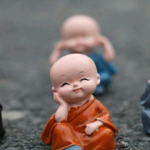 阳光正好《连赞拉黑》