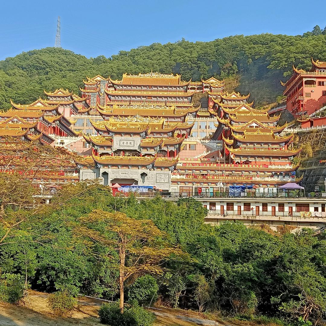 義豪