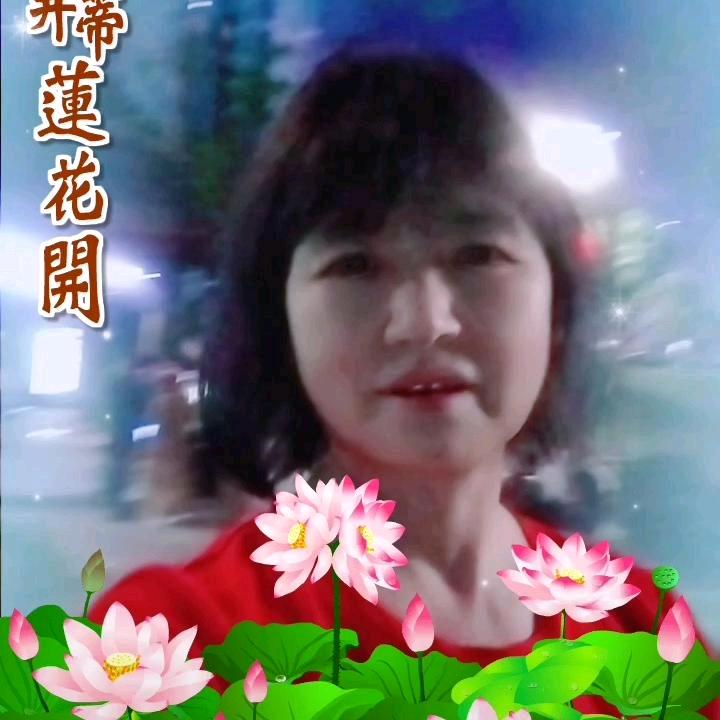 杜鹃花1