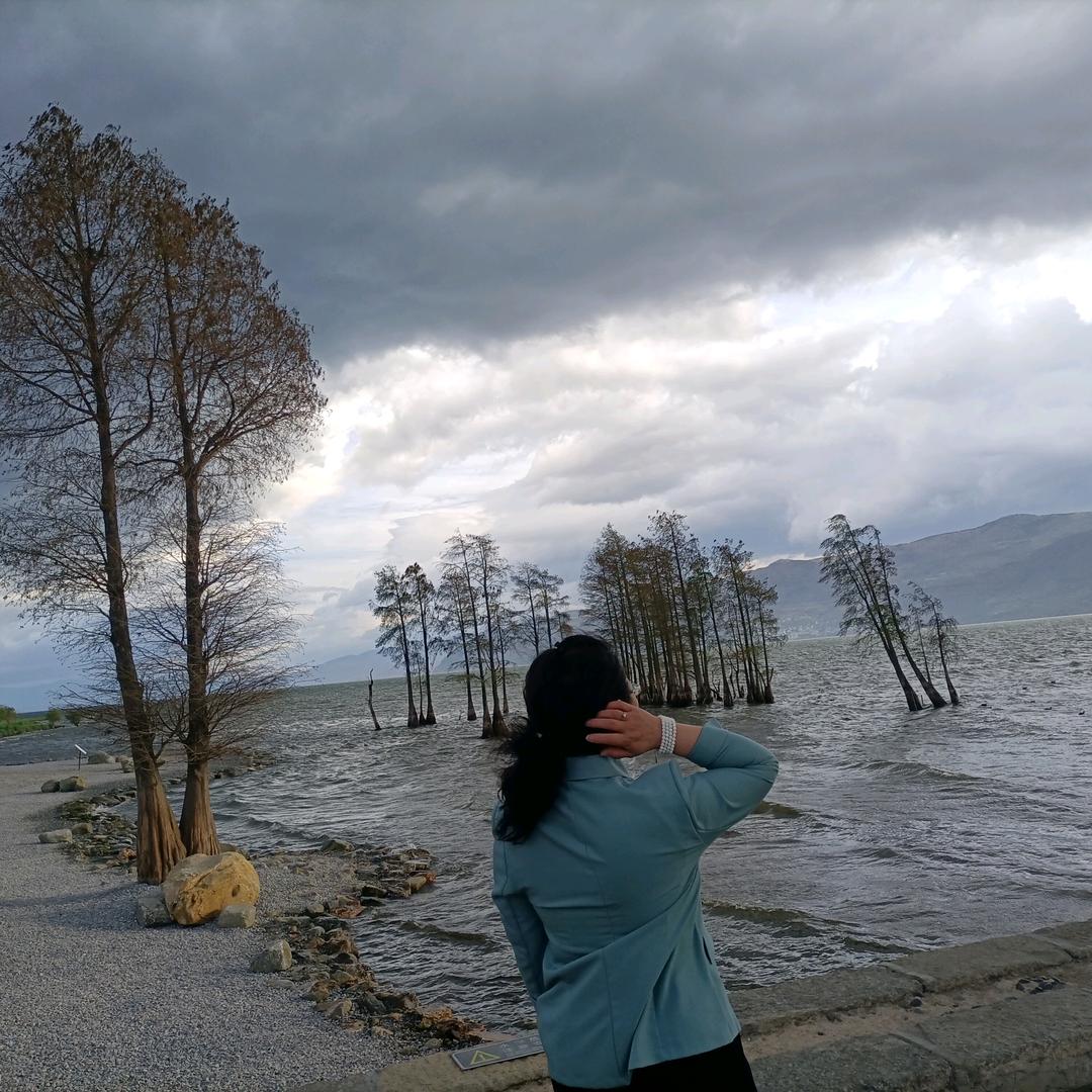 🌦高山流水🌦