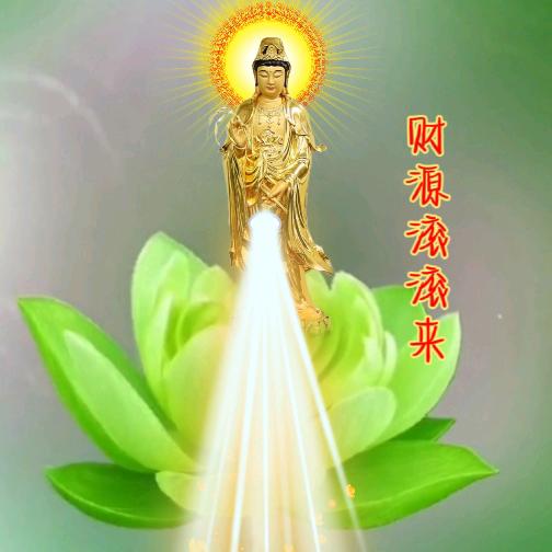 万花壁纸
