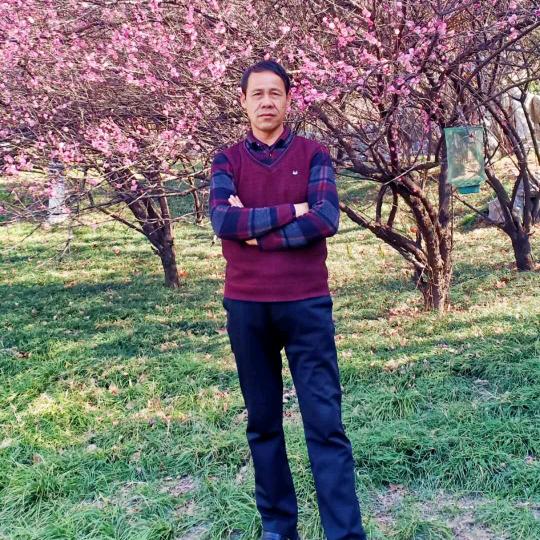 鄯善县王甫军种子销售部