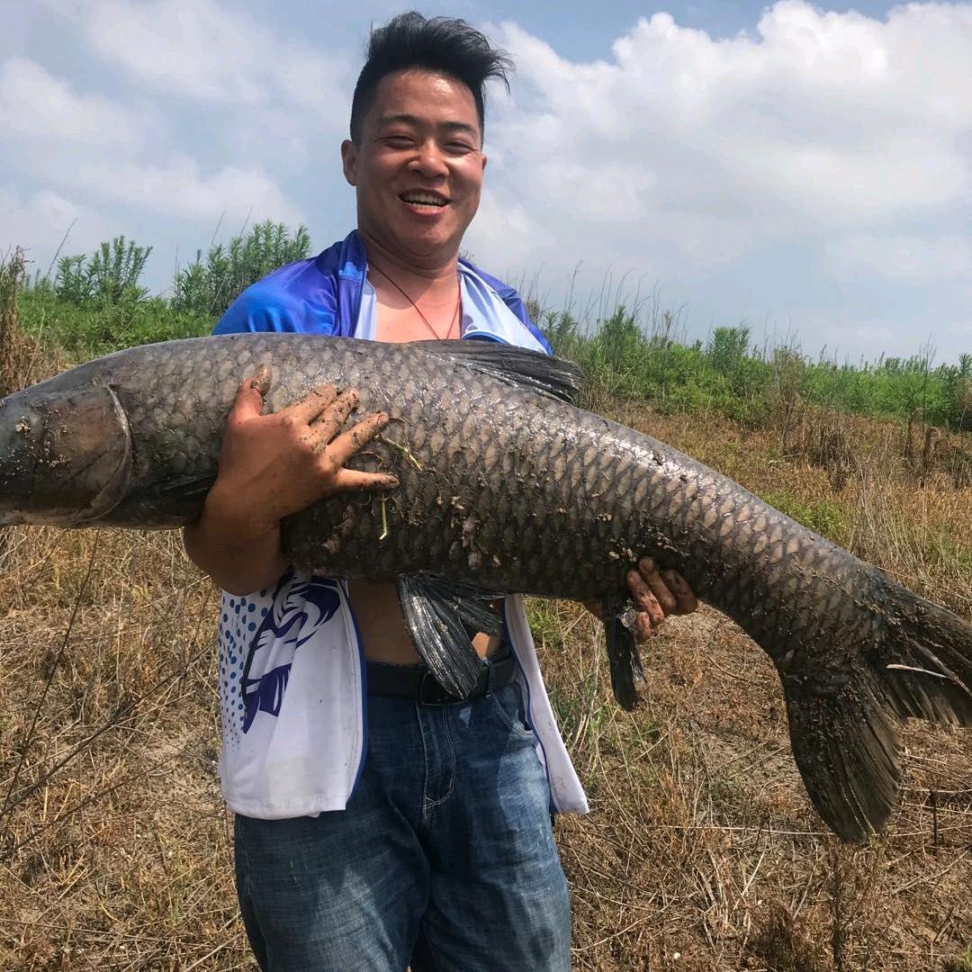 青塘战队     夏勇