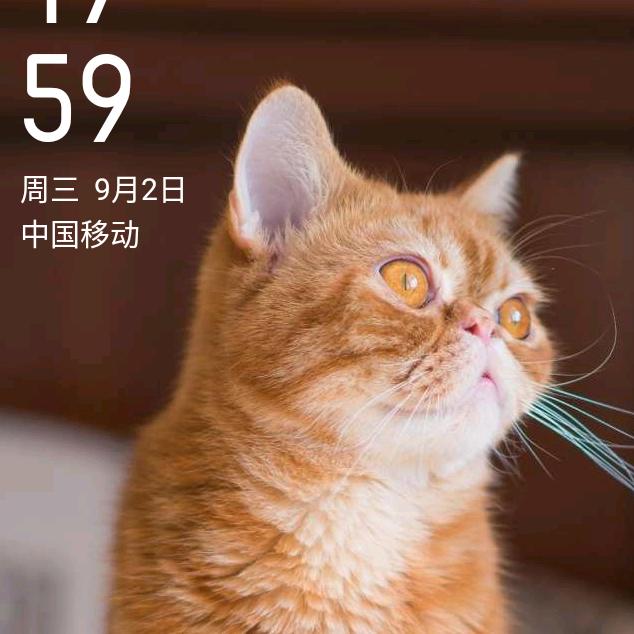 甜蜜的欢欢