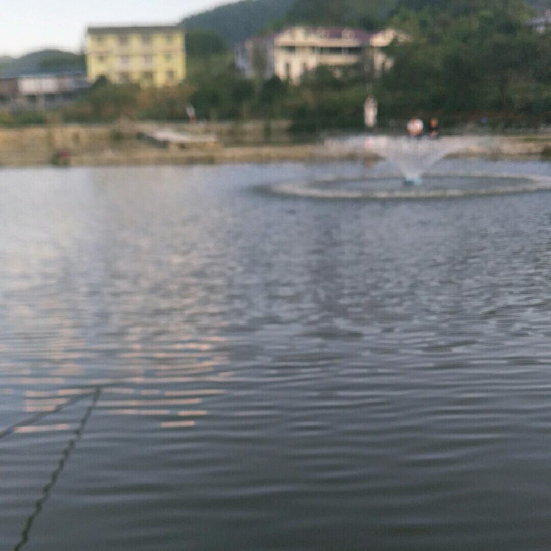 鱼乐人生钓鱼场