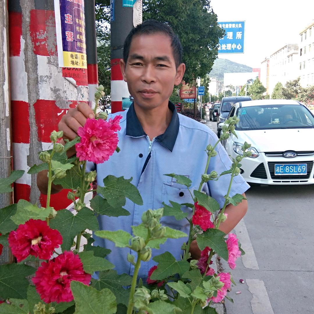 相思苦
