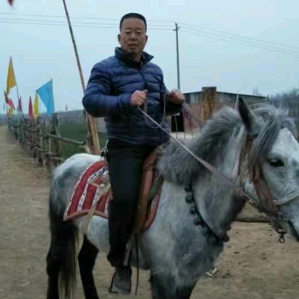 沉默是金