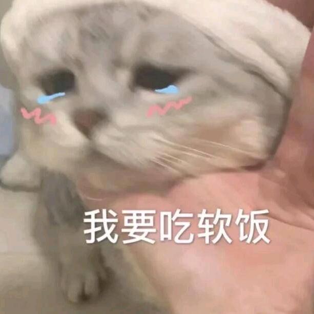 在咸咸的毒生中挣扎