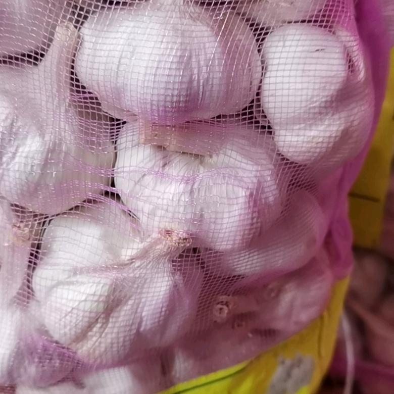 杞县垒胜蒜业有限公司