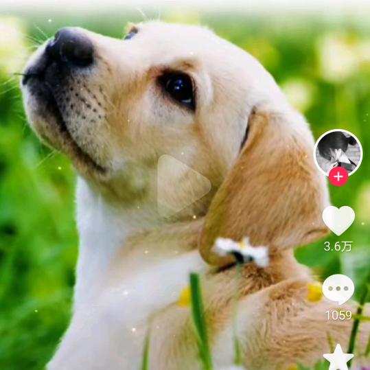 把瞎子带沟里去